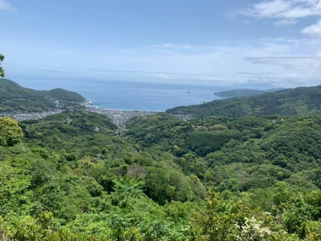 伊東八景・巣雲山