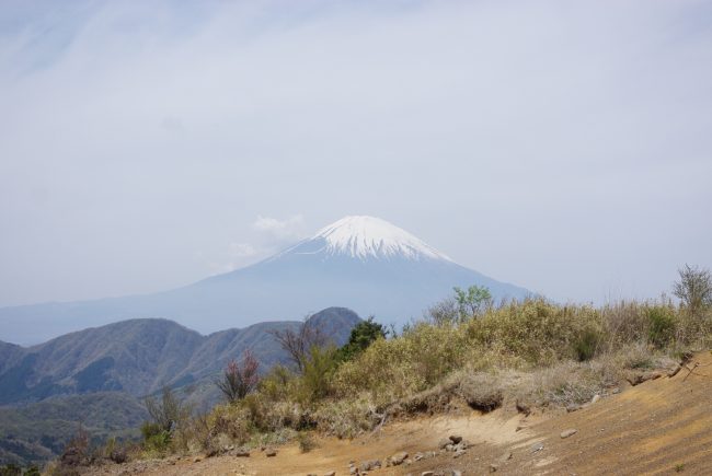 関東百名山・大雄山～明神ヶ岳②