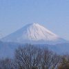 山梨百名山・小楢山 - 画像 (6)