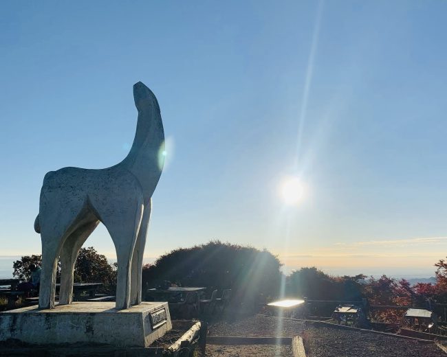 陣馬山～高尾山縦走