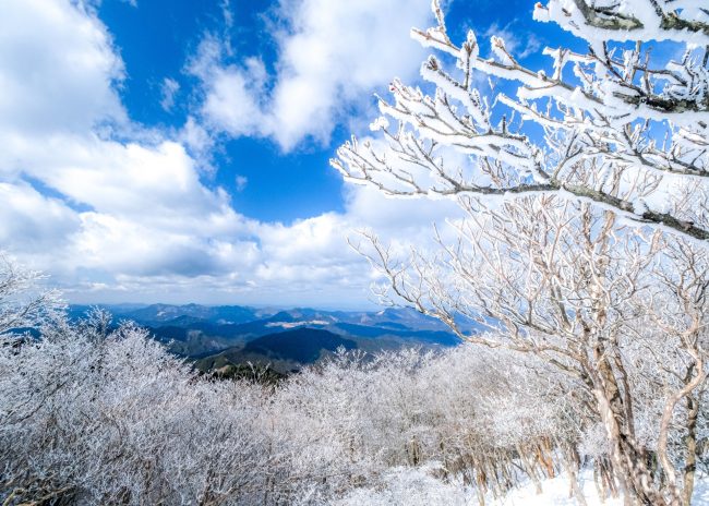 美しい樹氷を求めて！300名山 高見山＆三峰山と局ヶ岳