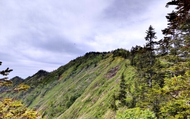 200名山・佐武流山