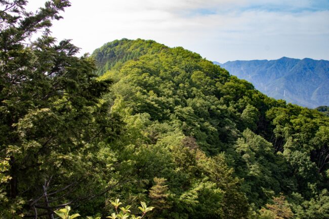 二百名山 武甲山～大持山周遊