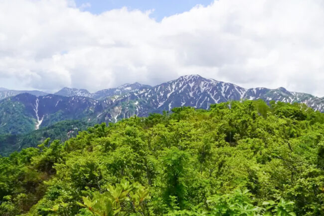 大門山と奥医王山～医王山