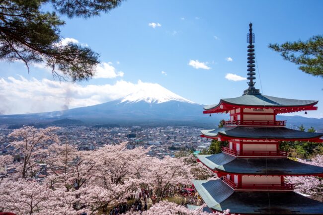 桜舞う五重塔　天上山～新倉山縦走