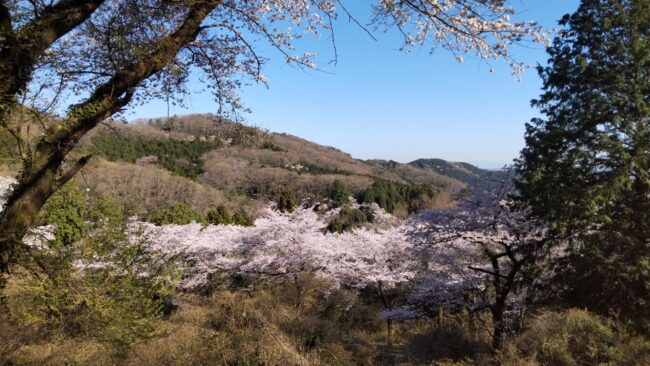 日本百低山 晃石山～桜の名所 太平山