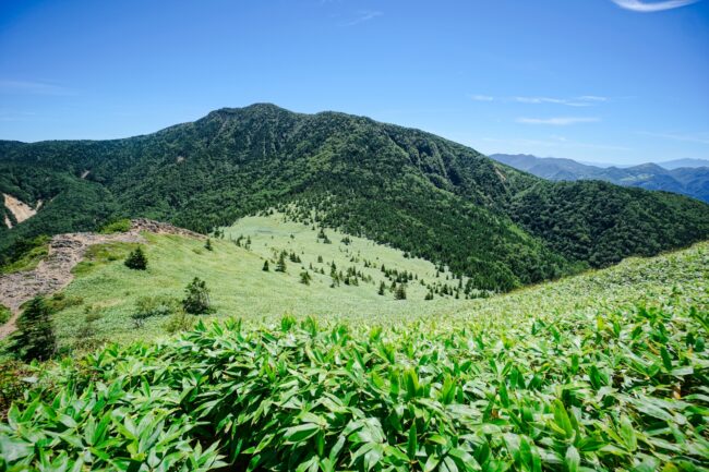 根子岳～四阿山& 湯ノ丸山