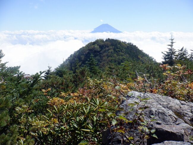 椹島から笊ヶ岳ピストン登頂