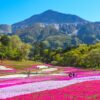 二百名山 武甲山～大持山周遊 - 画像 (3)