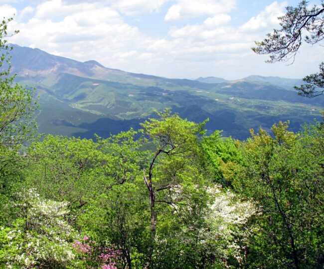 社山～黒檜岳＆鳴虫山