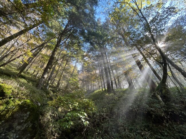 黒川鶏冠山～大菩薩嶺縦走