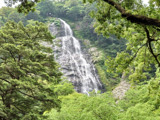 日本三大渓谷　大杉谷～大台ヶ原縦走