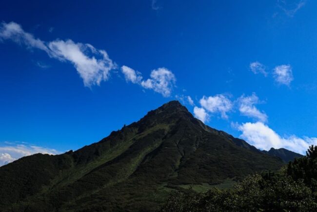 利尻山・礼文島フラワーウォッチング